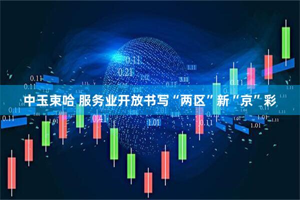 中玉束哈 服务业开放书写“两区”新“京”彩