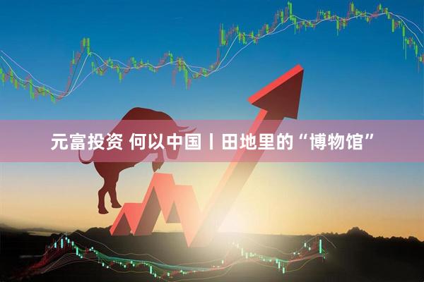 元富投资 何以中国丨田地里的“博物馆”