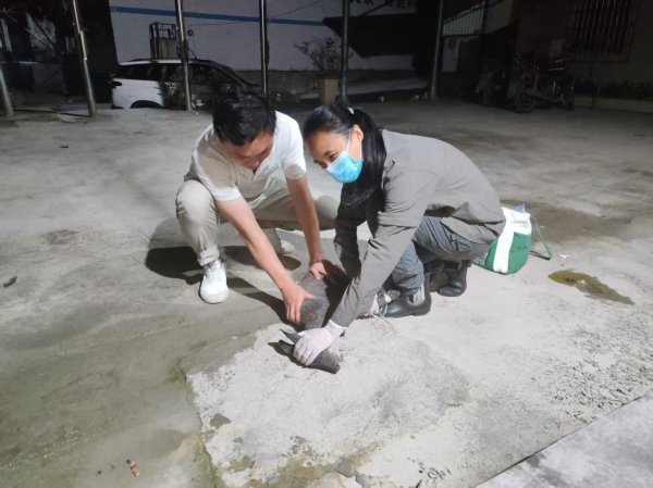 尚融 贺州市三单位联合救助濒危珍稀动物林麝