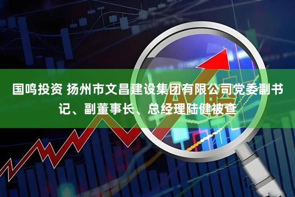 国鸣投资 扬州市文昌建设集团有限公司党委副书记、副董事长、总经理陆健被查