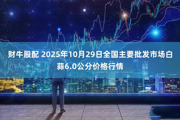 财牛股配 2025年10月29日全国主要批发市场白蒜6.0公分价格行情